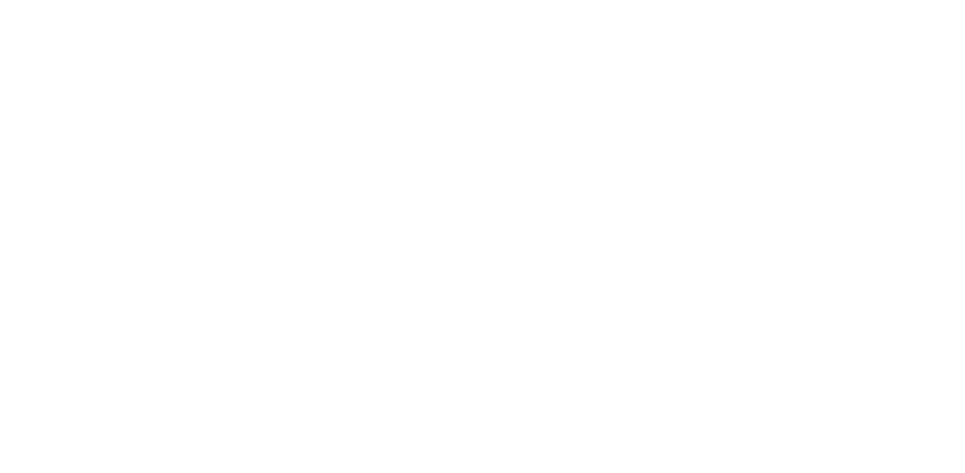 Jetsetter Lifestyle